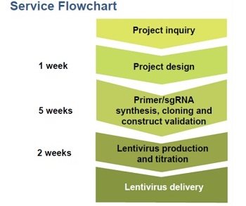 Lentivurs Construct Core srevice flow chart