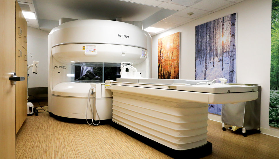 Credit:  Bill Murray, Lifespan