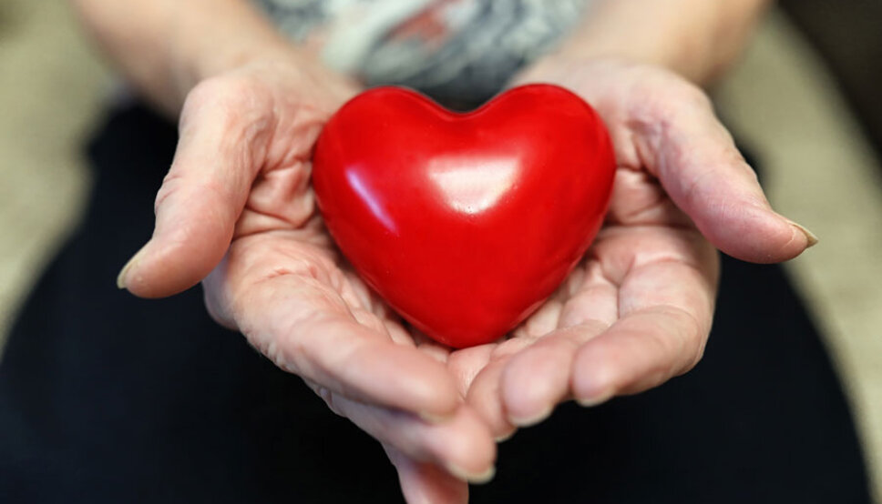 Elderly hands holding heart
