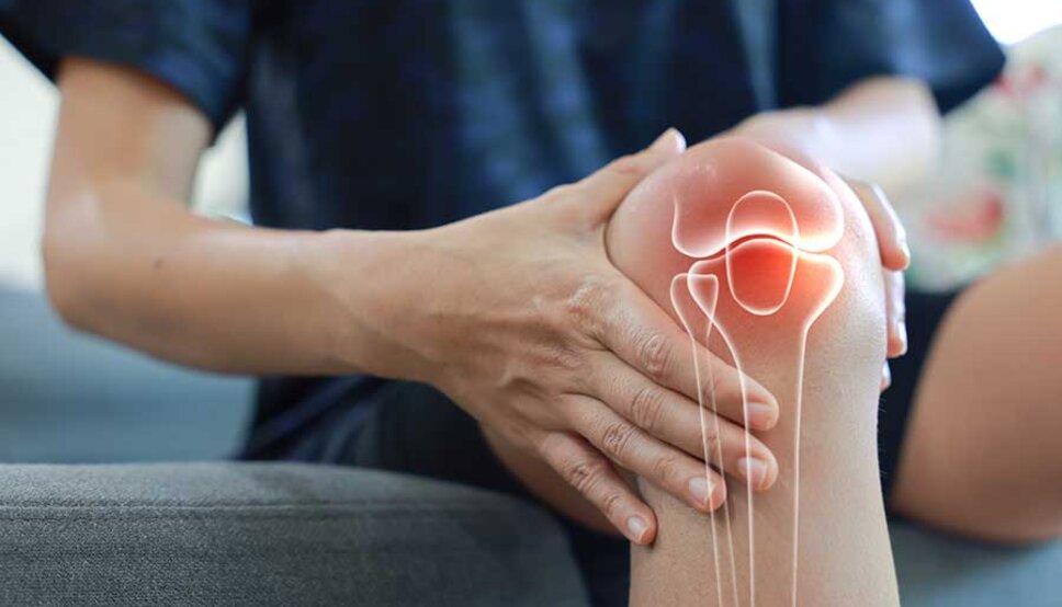 Picture of knee with graphic of knee structure overlay