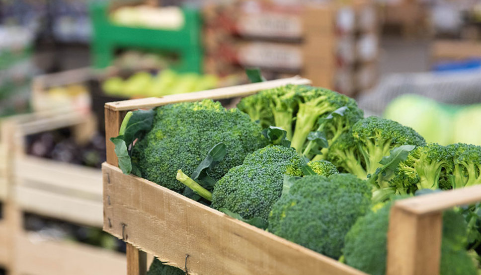 Tips for Better Bladder Health