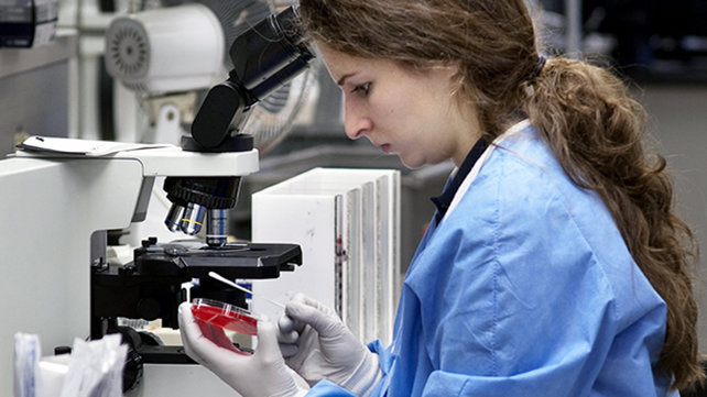 Medical staff performing clinical research trials in a lab