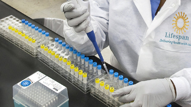 Medical employee performing research work