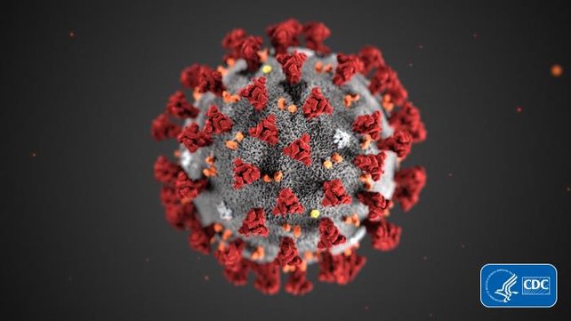 Coronavirus-Image