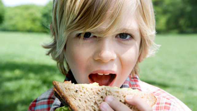Child eating a sandwich
