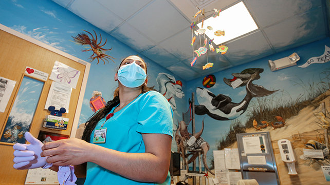 Underwater scenes painted on the walls.
