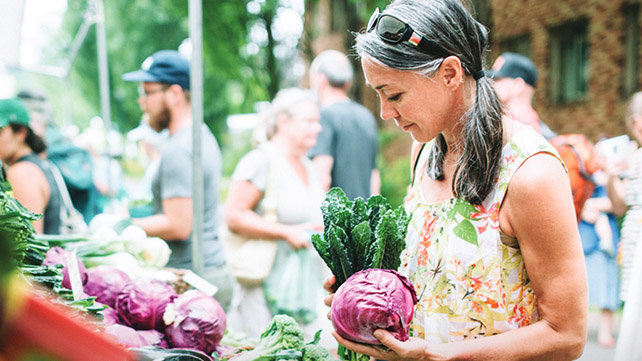 Cover photo of Nutrition and Wellness publication