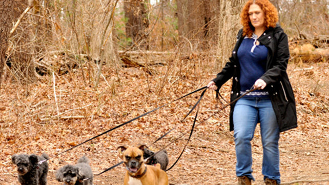 Dr. Paige Plumb walks her dogs.