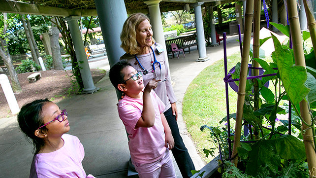 The Hasbro Children's Hospital Garden