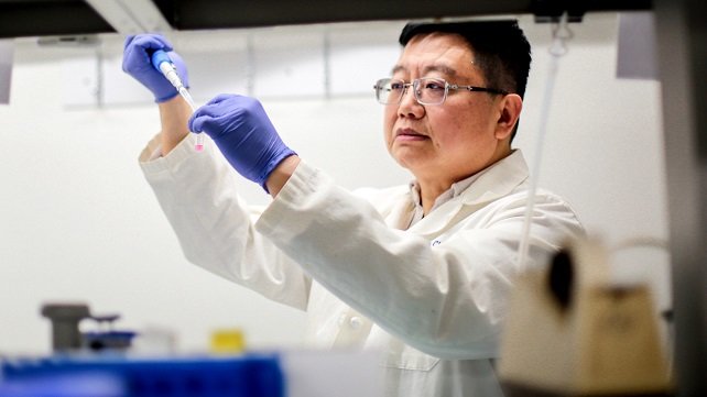 Qian Chen, PhD, director of  Lifespan’s Center of Biomedical Research Excellence (COBRE) for Skeletal Health and Repair 