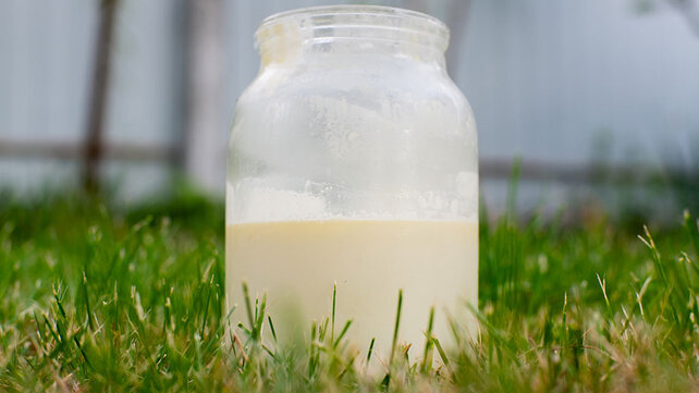 Raw milk in jar