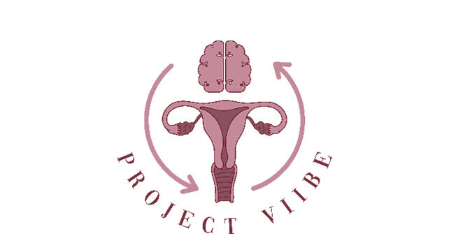 Preojct VIIBE logo