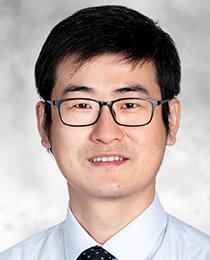 Yun Yang, PhD, DABR