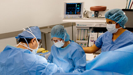 Endocrine Surgery in progress